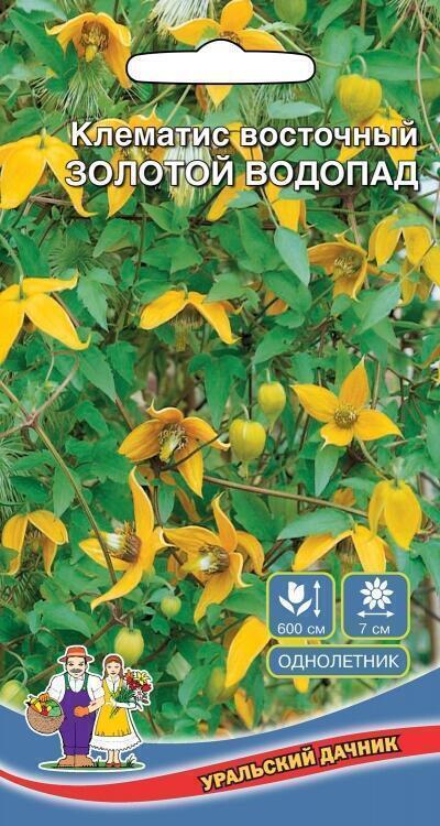 Купить оптом в Ботанике семена Клематис Золотой водопад УД бренд Уральский дачник