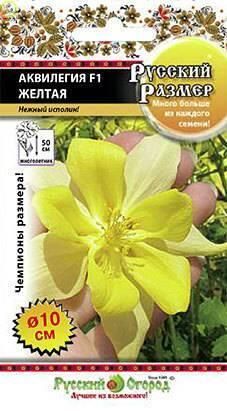 Купить оптом в Ботанике семена Аквилегия Русский размер желтая F1 НК бренд НК