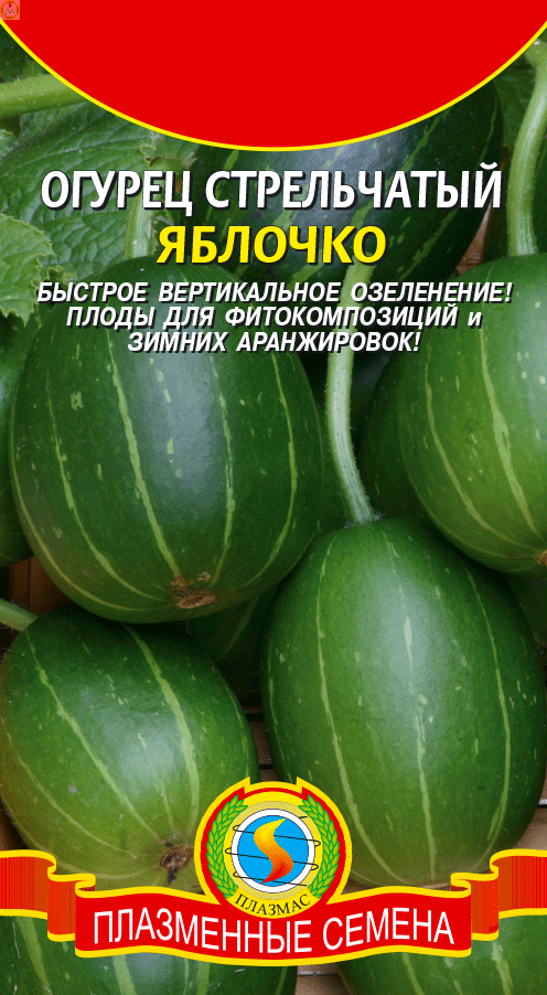 Купить оптом в Ботанике семена Огурец стрельчатый Яблочко Плз бренд Плазмас