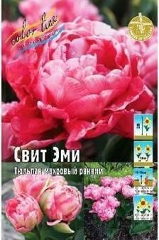Купить оптом в Ботанике Тюльпан Свит Эми 8 шт