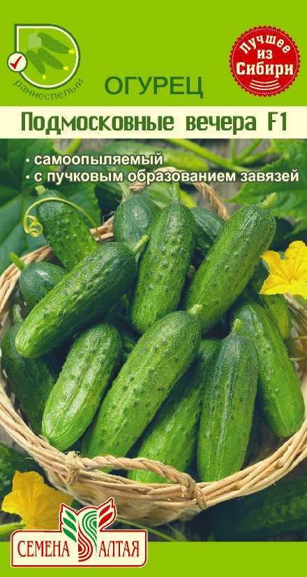 Купить оптом в Ботанике семена Огурец Подмосковные вечера СА бренд Семена Алтая