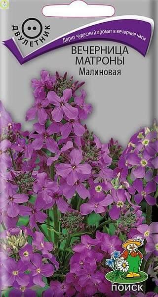 Купить оптом в Ботанике семена Вечерница Матроны Малиновая Поиск бренд Поиск