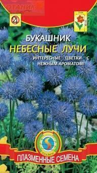 Купить оптом в Ботанике семена Букашник Небесные лучи Плз бренд Плазмас