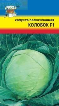 Купить оптом в Ботанике семена Капуста белокочанная Колобок F1 УУ бренд Урожай Удачи