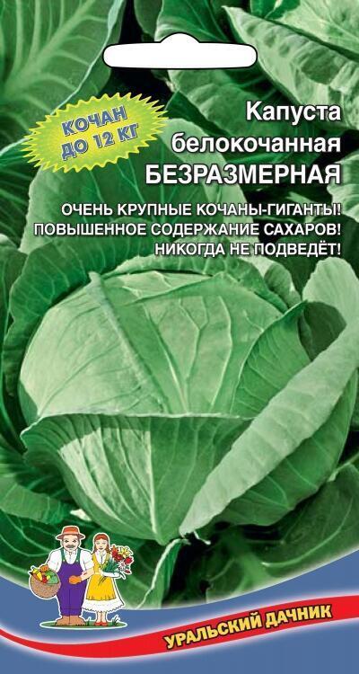 Купить оптом в Ботанике семена Капуста белокочанная Безразмерная УД бренд Уральский дачник