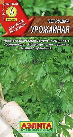 Купить оптом в Ботанике семена Петрушка Урожайная Аэл бренд Аэлита