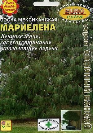 Купить оптом в Ботанике семена Сосна Мариелена мексиканская БП Аэл бренд Аэлита