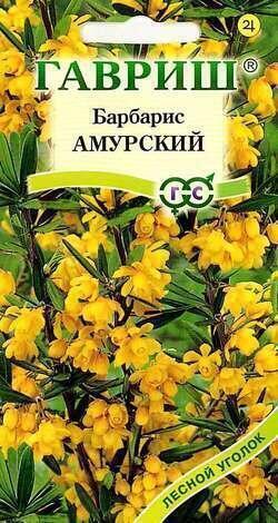 Купить оптом в Ботанике семена Барбарис амурский 0,2 г бренд Гавриш