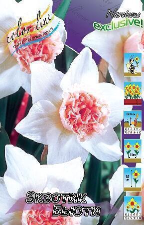 Купить оптом в Ботанике Нарцисс Экзотик Бьюти 3 шт