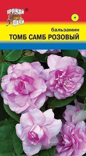 Купить оптом в Ботанике семена Бальзамин Том Самб розовый УУ бренд Урожай Удачи