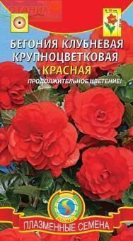 Купить оптом в Ботанике семена Бегония Крупноцветковая красная Плз бренд Плазмас