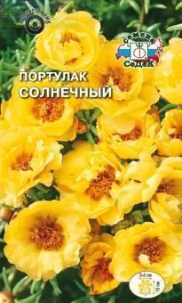 Купить оптом в Ботанике семена Портулак Солнечный Сед бренд СеДеК