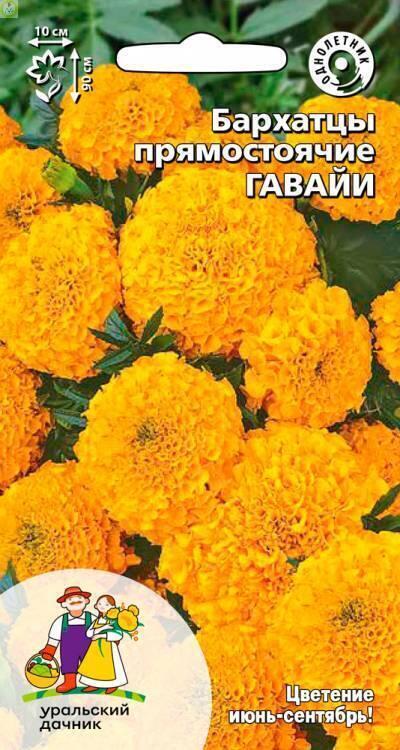 Купить оптом в Ботанике семена Бархатцы Гавайи УД бренд Уральский дачник