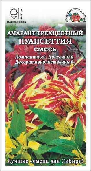 Купить оптом в Ботанике семена Амарант Пуансеттия трехцветный ЗС бренд Золотая сотка