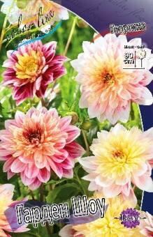 Купить оптом в Ботанике Георгина Гарден Шоу 1 шт анемоновидные