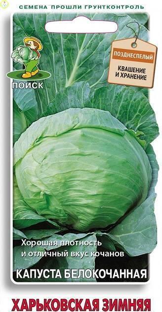 Купить оптом в Ботанике семена Капуста белокочанная Харьковская зимняя Поиск бренд Поиск