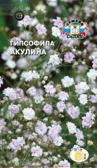 Купить оптом в Ботанике семена Гипсофила Акулина Сед бренд СеДеК