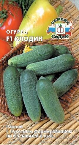Купить оптом в Ботанике семена Огурец Клодин F1 Сед бренд СеДеК