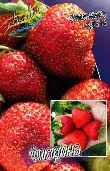 Купить оптом в Ботанике Земляника садовая Флорина 5 шт
