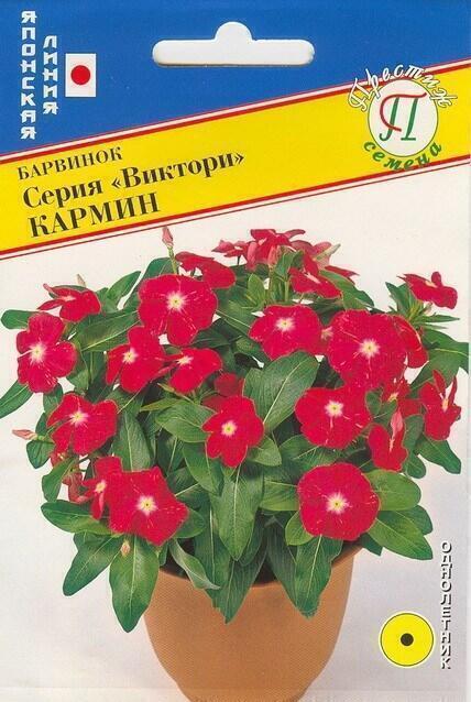Купить оптом в Ботанике семена Барвинок Виктори Кармин Прес бренд Престиж