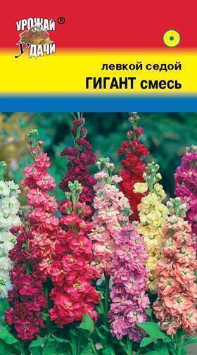 Купить оптом в Ботанике семена Левкой Гигант смесь УУ бренд Урожай Удачи