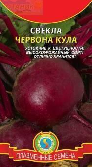 Купить оптом в Ботанике семена Свекла Червона кула Плз бренд Плазмас