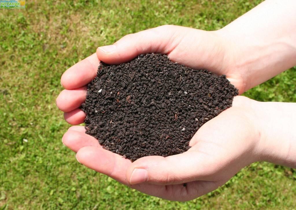 Купить оптом в Ботанике Биогумус 2 л (10)