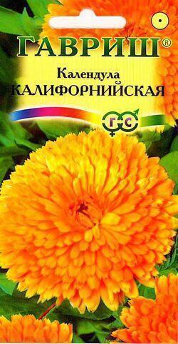 Купить оптом в Ботанике семена Календула Калифорнийская Гав бренд Гавриш