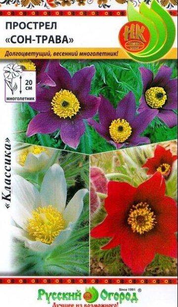 Купить оптом в Ботанике семена Прострел Сон-трава, смесь НК бренд НК