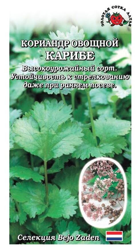 Купить оптом в Ботанике семена Кориандр Карибе ЗС бренд Золотая сотка