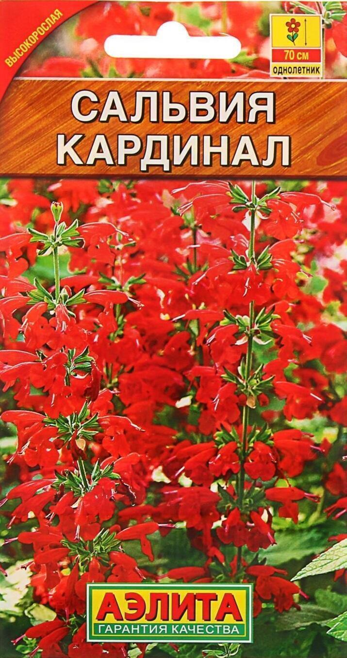 Купить оптом в Ботанике семена Сальвия Кардинал Аэл бренд Аэлита