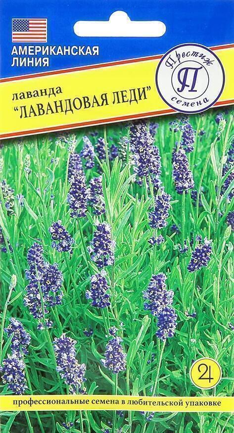 Купить оптом в Ботанике семена Лаванда Лавандовая леди Прес бренд Престиж