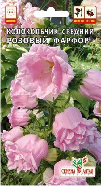 Купить оптом в Ботанике семена Колокольчик Розовый средний СА бренд Семена Алтая