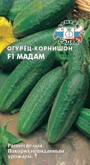 Купить оптом в Ботанике семена Огурец Мадам F1 Сед бренд СеДеК