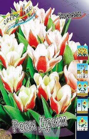 Купить оптом в Ботанике Тюльпан Рози Дрим 10 шт