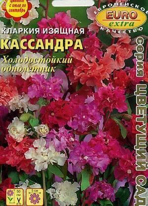 Купить оптом в Ботанике семена Кларкия Кассандра* Аэл бренд Аэлита