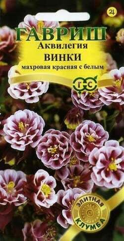 Купить оптом в Ботанике семена Аквилегия Винки красная с белым Гав бренд Гавриш