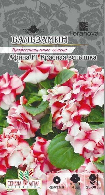 Купить оптом в Ботанике семена Бальзамин Афина красная вспышка СА бренд Семена Алтая