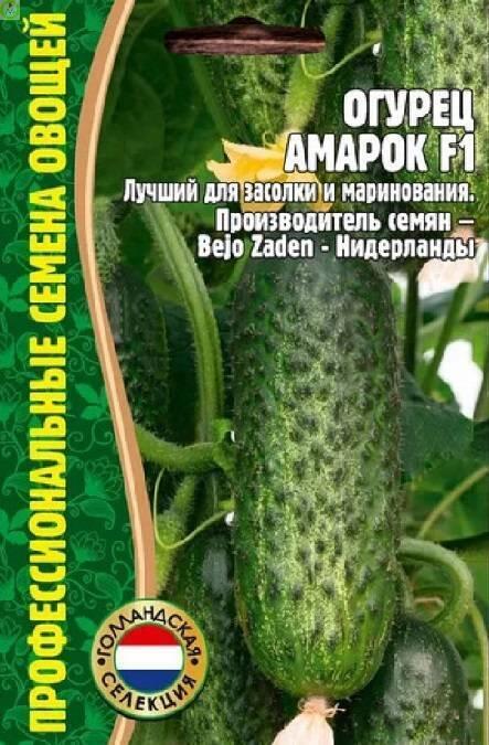 Купить оптом в Ботанике семена Огурец Амарок F1 Реш бренд Решение, ООО