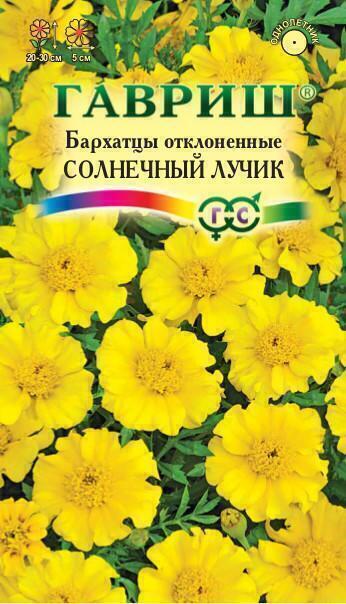 Купить оптом в Ботанике семена Бархатцы Солнечный лучик Гав бренд Гавриш