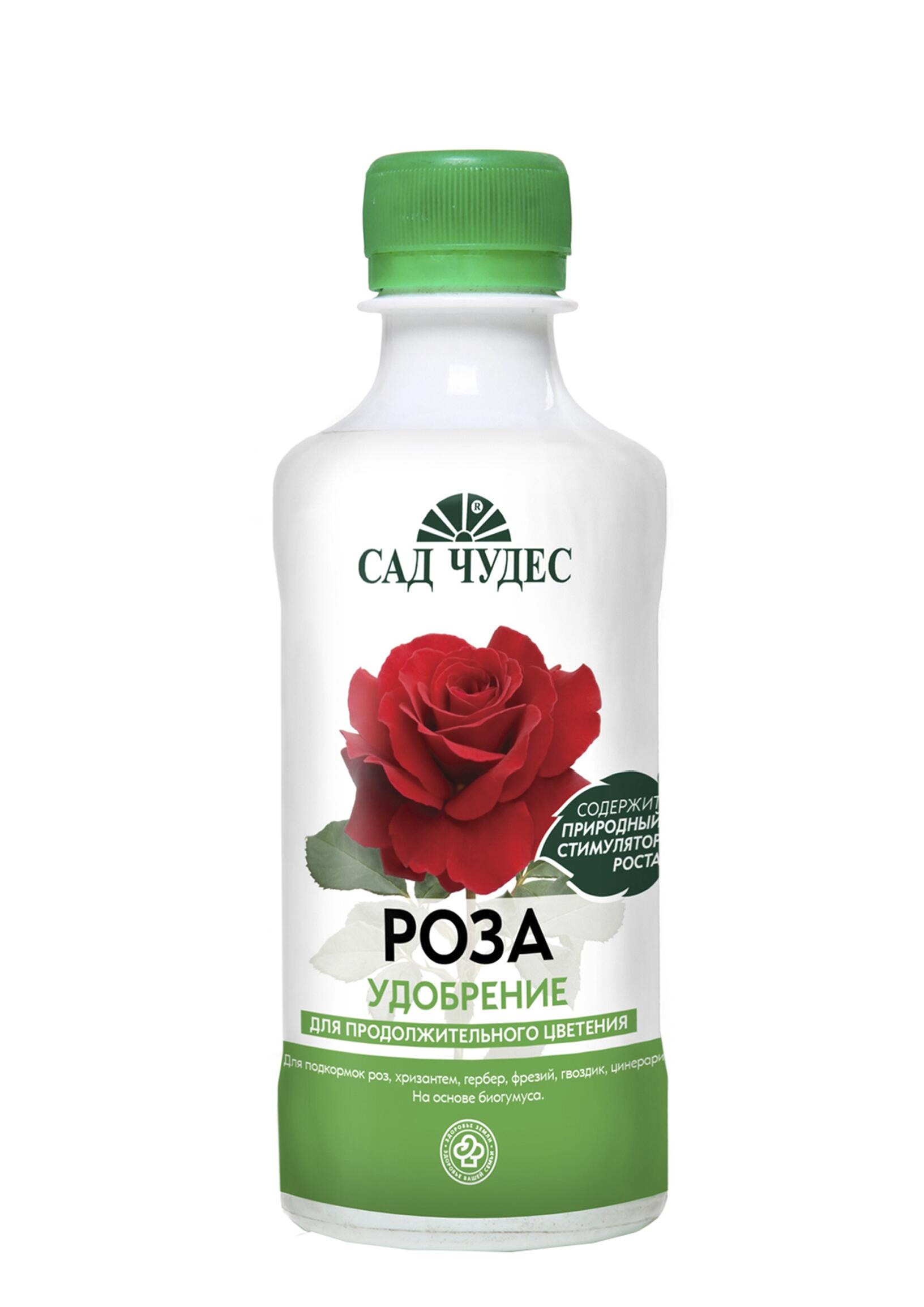 Купить оптом в Ботанике Роза 0,25 л (20)