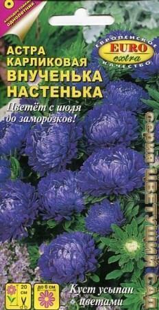 Купить оптом в Ботанике семена Астра Внученька Настенька карликовая Аэл бренд Аэлита