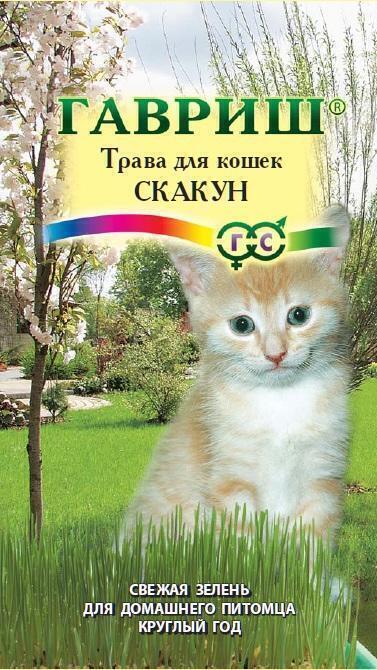 Купить оптом в Ботанике семена Трава для кошек Скакун Гав бренд Гавриш