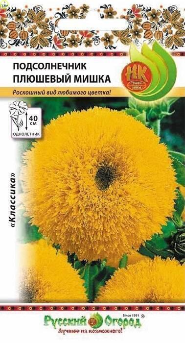 Купить оптом в Ботанике семена Подсолнечник Плюшевый мишка НК бренд НК