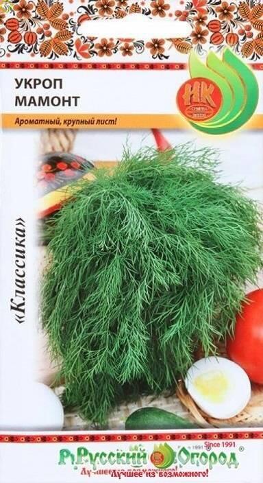 Купить оптом в Ботанике семена Укроп Мамонт НК бренд НК
