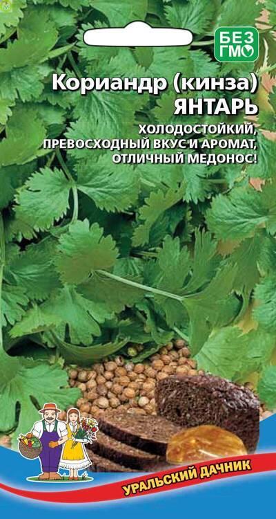 Купить оптом в Ботанике семена Кориандр Янтарь УД бренд Уральский дачник