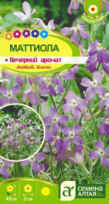 Купить оптом в Ботанике семена Маттиола Вечерний Аромат СА бренд Семена Алтая