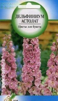 Купить оптом в Ботанике семена Дельфиниум Астолат ССО бренд Сортсемовощ