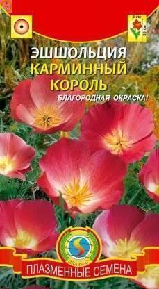 Купить оптом в Ботанике семена Эшшольция Карминный король Плз бренд Плазмас