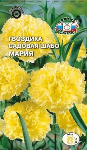 Купить оптом в Ботанике семена Гвоздика садовая Мария Сед бренд СеДеК